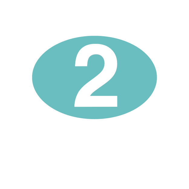 ccz step badge 2