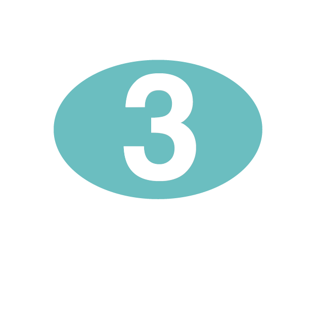 ccz step badge 3